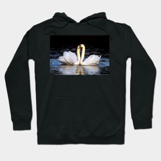 Love is in the air Hoodie